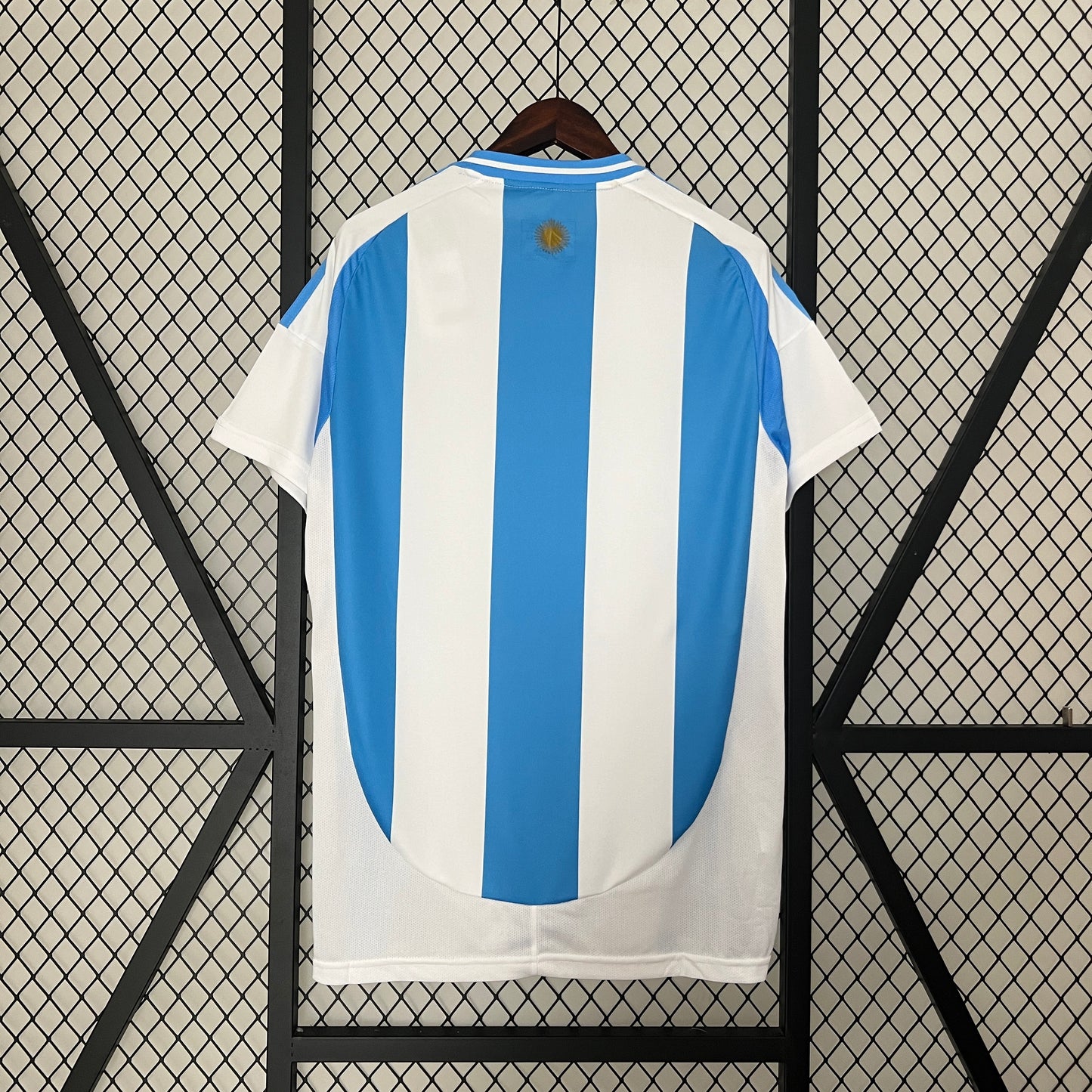 Argentina Home Jersey 23/24